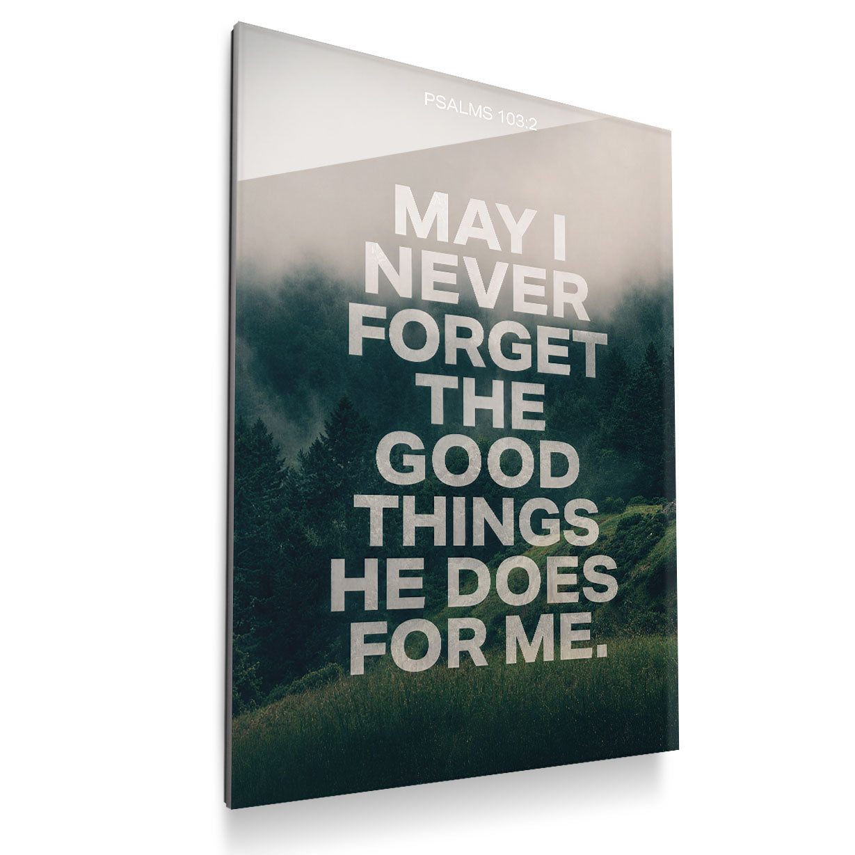 May I Never Forget